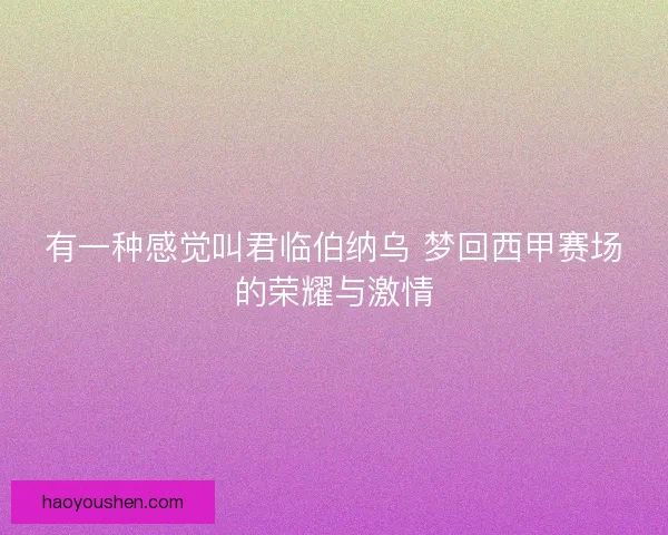 有一种感觉叫君临伯纳乌 梦回西甲赛场的荣耀与激情
