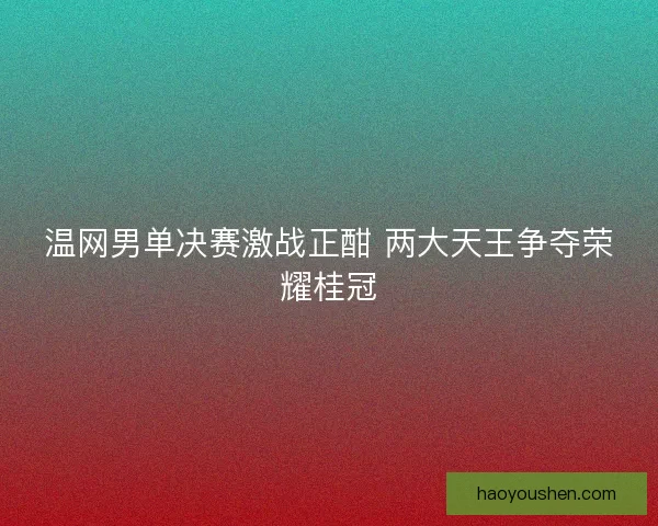 温网男单决赛激战正酣 两大天王争夺荣耀桂冠