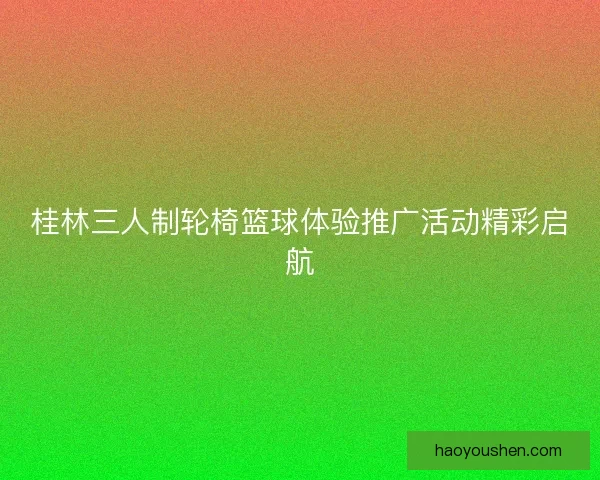 桂林三人制轮椅篮球体验推广活动精彩启航